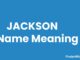 Jackson Name Meaning, Origin, Popularity and Nicknames Jackson Name Meaning