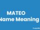 Mateo Name Meaning, Origin, Popularity and Nicknames Mateo Name Meaning