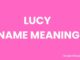 Lucy Name Meaning, Origin, Popularity and Nicknames Lucy Name Meaning