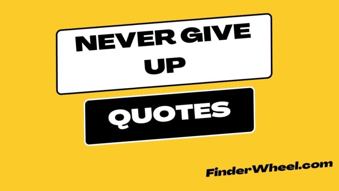 Never Give Up Quotes