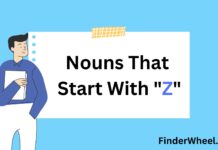 200 Nouns That Start With Z Nouns That Start With Z