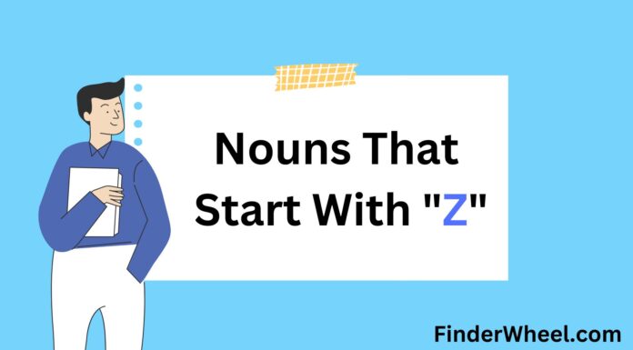 200 Nouns That Start With Z Nouns That Start With Z