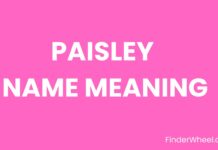 Paisley Name Meaning, Origin, Popularity and Nicknames Paisley Name Meaning