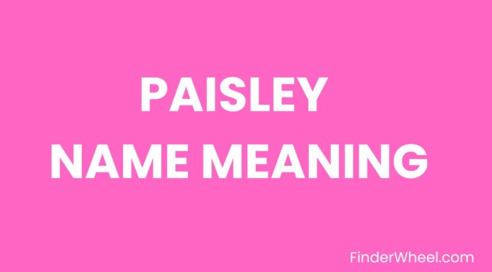 Paisley Name Meaning, Origin, Popularity and Nicknames Paisley Name Meaning