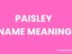 Paisley Name Meaning, Origin, Popularity and Nicknames Paisley Name Meaning