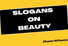 100 Best Slogans on Beauty Slogans on Beauty