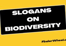 100 Best Slogans on Biodiversity Slogans on Biodiversity