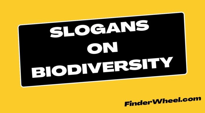 100 Best Slogans on Biodiversity Slogans on Biodiversity