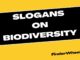 100 Best Slogans on Biodiversity Slogans on Biodiversity