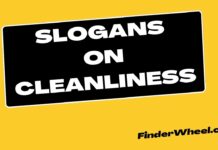 100 Best Slogans on Cleanliness Slogans on Cleanliness