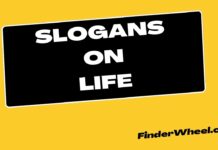 100 Best Slogans on Life Slogans on Life
