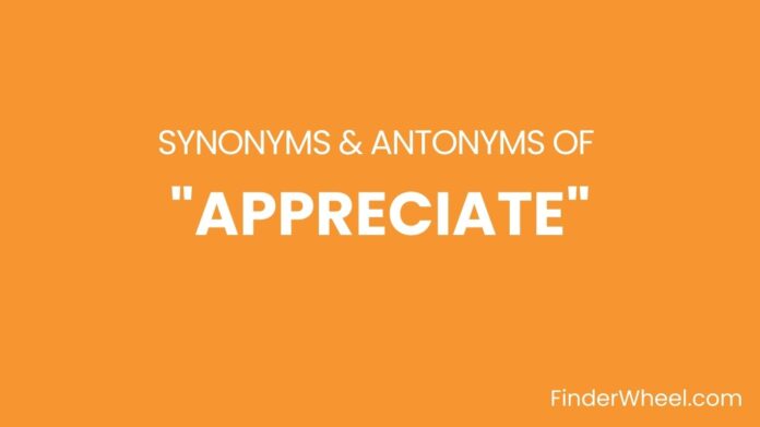 Synonyms Of Appreciate