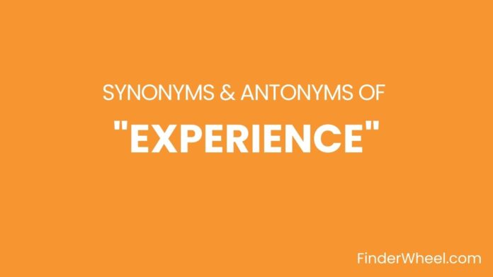 Synonyms Of Experience
