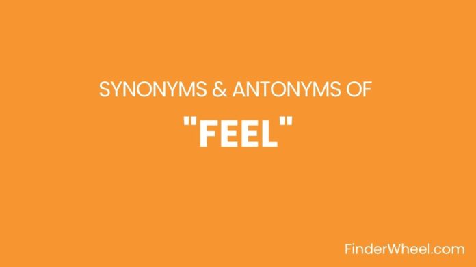 Synonyms Of Feel