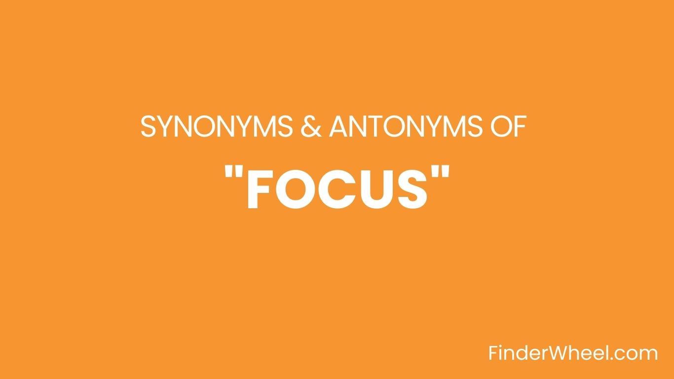 Synonyms Of Focus