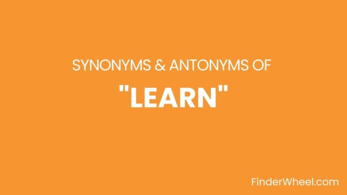 Synonyms Of Learn