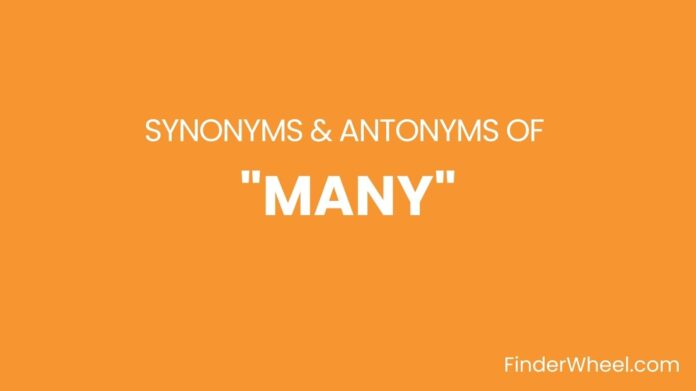 Synonyms Of Many Synonyms Of Many