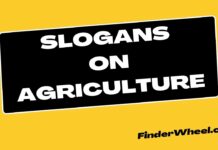 100 Best Slogans on Agriculture Slogans on Agriculture