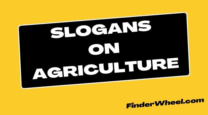 100 Best Slogans on Agriculture Slogans on Agriculture