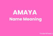 Amaya Name Meaning, Origin, Popularity and Nicknames Amaya Name Meaning