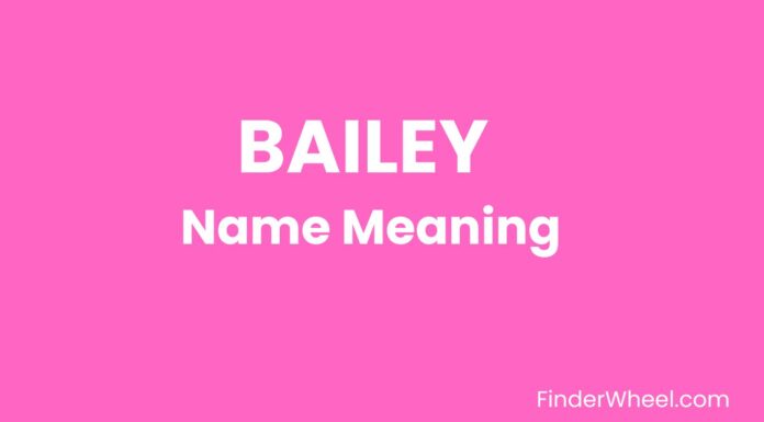 Bailey Name Meaning, Origin, Popularity and Nicknames Bailey Name Meaning