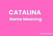 Catalina Name Meaning, Origin, Popularity and Nicknames Catalina Name Meaning