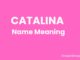 Catalina Name Meaning, Origin, Popularity and Nicknames Catalina Name Meaning