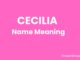 Cecilia Name Meaning, Origin, Popularity and Nicknames Cecilia Name Meaning