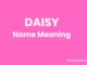 Daisy Name Meaning, Origin, Popularity and Nicknames Daisy Name Meaning