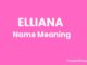 Elliana Name Meaning, Origin, Popularity and Nicknames Elliana Name Meaning