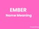 Ember Name Meaning, Origin, Popularity and Nicknames Ember Name Meaning