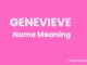 Genevieve Name Meaning, Origin, Popularity and Nicknames Genevieve Name Meaning
