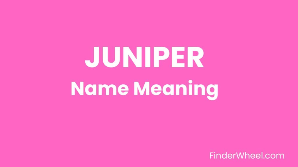 Juniper Name Meaning, Origin, Popularity and Nicknames