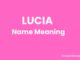 Lucia Name Meaning, Origin, Popularity and Nicknames Lucia Name Meaning