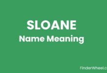Sloane Name Meaning, Origin, Popularity and Nicknames Sloane Name Meaning
