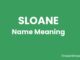 Sloane Name Meaning, Origin, Popularity and Nicknames Sloane Name Meaning