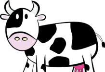 How to Draw a Cow: A Step-by-Step Guide How to Draw a Cow