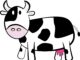 How to Draw a Cow: A Step-by-Step Guide How to Draw a Cow