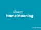 Akaay Name Meaning, Origin, Popularity and Nicknames Akaay Name Meaning