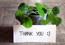 100 Thank You Messages To Write In a Appreciation Card Thank You Messages To Write In a Appreciation Card