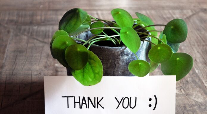 100 Thank You Messages To Write In a Appreciation Card Thank You Messages To Write In a Appreciation Card