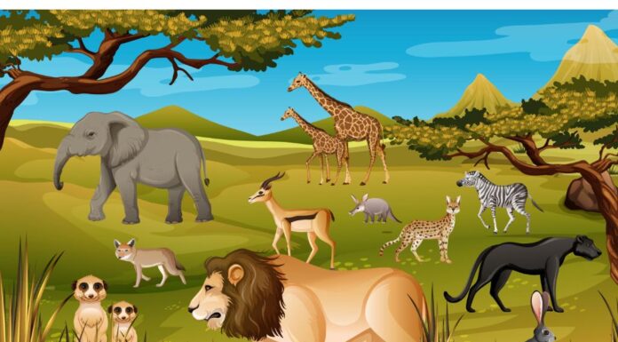 List of Wild Animals Names in English List of Wild Animals Names in English