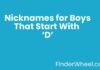 Nicknames for Boys That Start With D Nicknames for Boys That Start With D