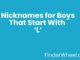 Nicknames for Boys That Start With L Nicknames for Boys That Start With L
