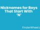 Nicknames for Boys That Start With N Nicknames for Boys That Start With N