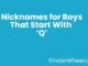 Nicknames for Boys That Start With Q Nicknames for Boys That Start With Q