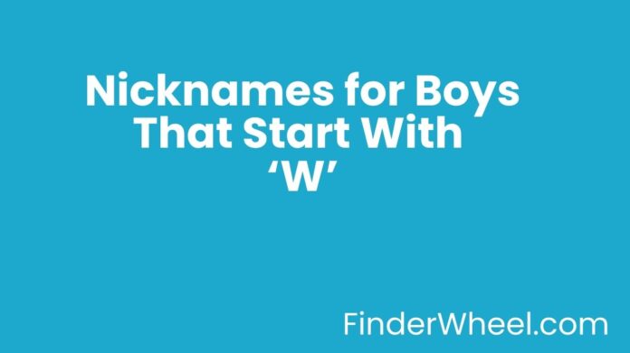 Nicknames for Boys That Start With W