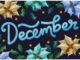 December Holidays: Important Days & Dates in December December Holidays: Important Days & Dates in December
