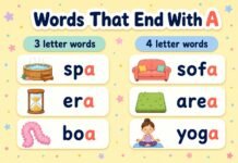 Words Ending in A: Nouns, Verbs, Adjectives & More Words That End With A
